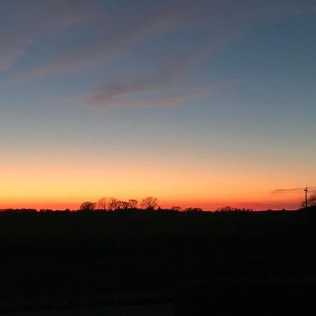 Hus Ved Skov Appartement Ejby  Buitenkant foto