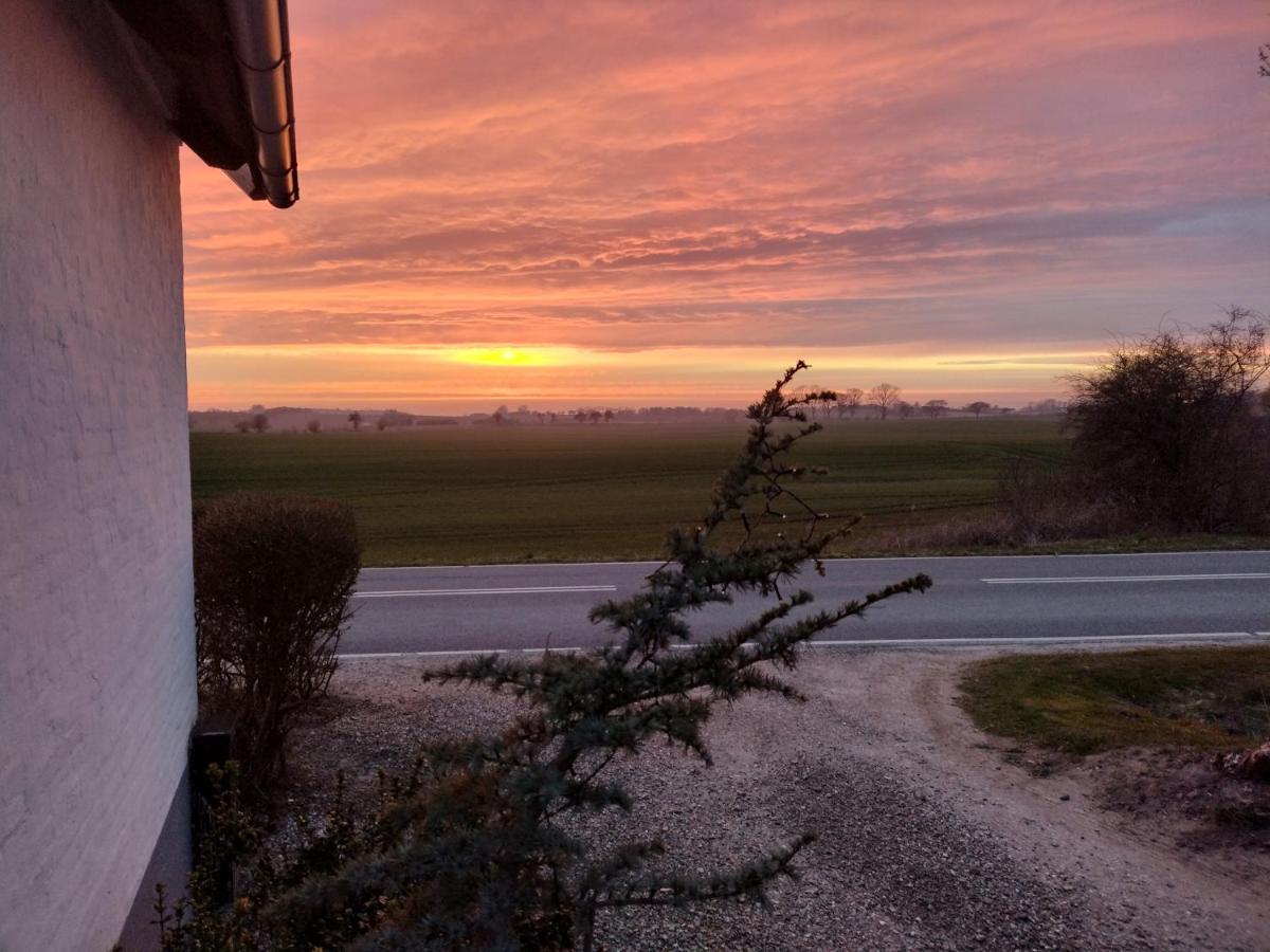 Hus Ved Skov Appartement Ejby  Buitenkant foto